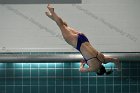 Women's Diving  Wheaton College Women’s Diving vs Mount Holyoke College. - Photo by Keith Nordstrom : Wheaton, Swimming & Diving